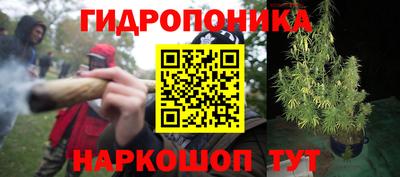 PSILOCYBIN Балаково