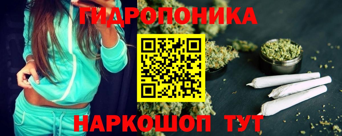 Бошки марихуана SATIVA & INDICA  Бошки Шишки марихуана  Артём  Каннабис White Widow 